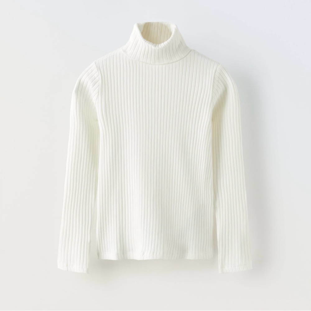 Zara | Ribbed Turtleneck